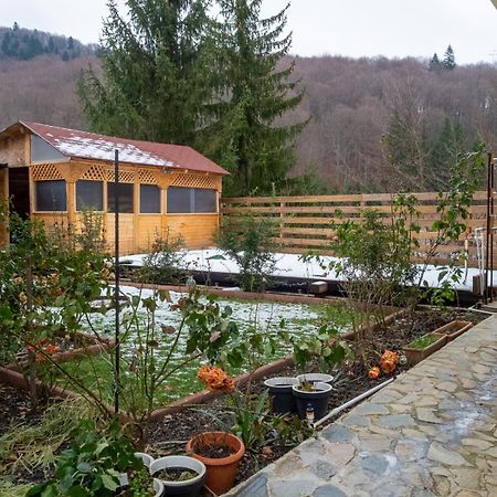 Casa Nicolas Busteni Ngoại thất bức ảnh